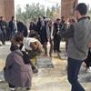 گزارش تصویری/ زائران اربعین در بدو ورود بر مزار شهدای گمنام شاخه های گل نثار نمودند