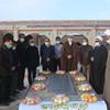 مشارکت در طرح کمک مومنانه و توزیع میوه به مناسبت شب یلدا